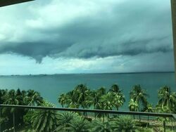 The Berth By The Cove (D4), Condominium #470576401